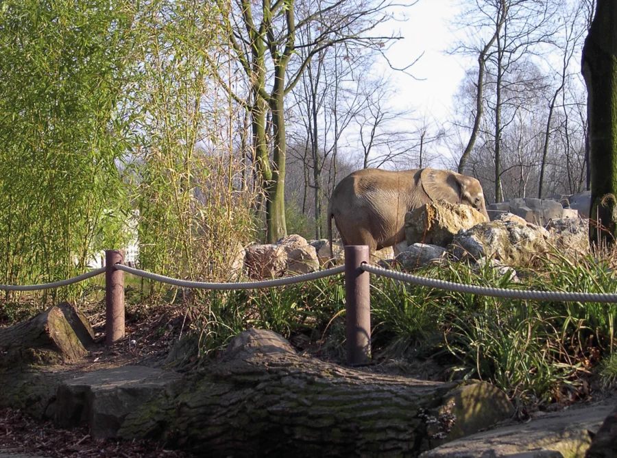 Round post - Image 6